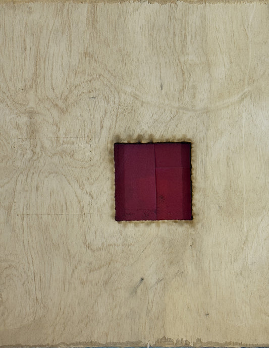 Discarded Beauty; Series 1 | Item 06, Print