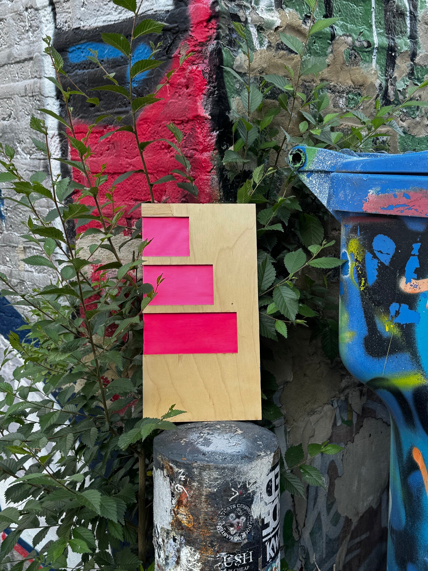 An Original | Discarded Beauty - Item 4