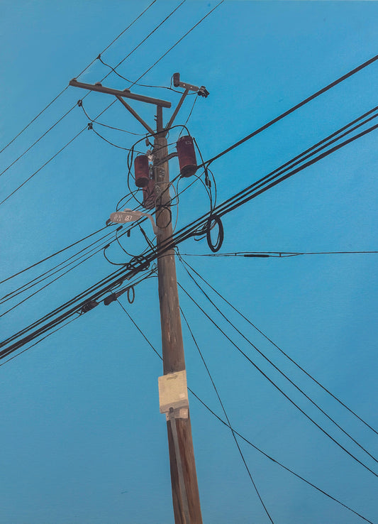 Powerline, Print